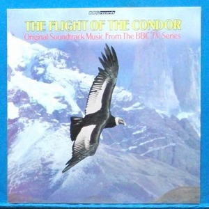 The flight of the condor OST (영국 BBC 초반)