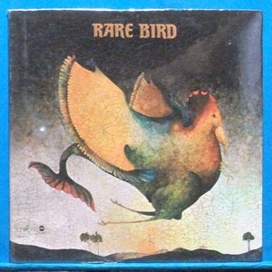 Rare Bird (sympathy) 미국 초반 미개봉